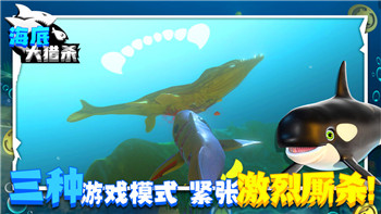 《托拉姆物语》中的凝胶糖精：寻找获取与应用之道