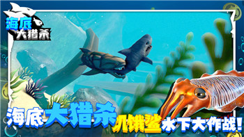 《王者信条》升级攻略大全：深入解析技巧与最佳策略，提升战斗实力